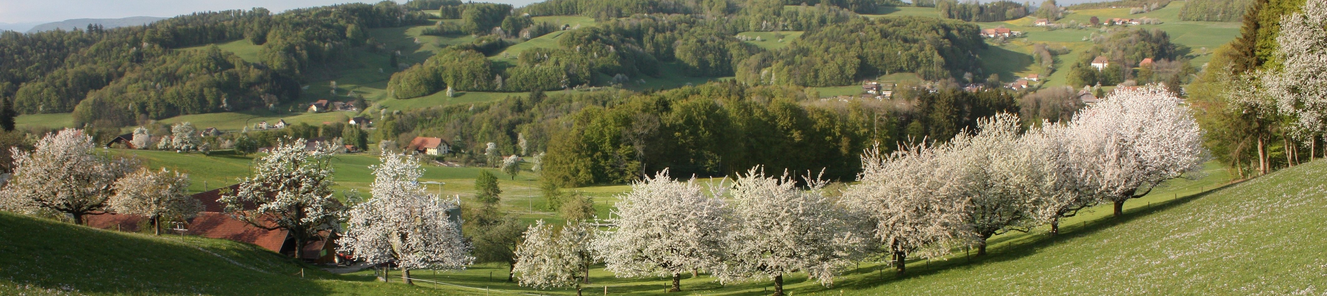 Panorama Ansicht